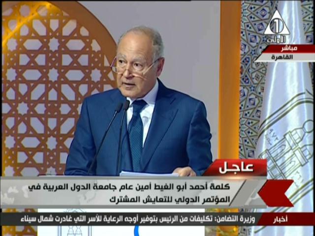 أحمد أبو الغيط الأمين العام لجامعة الدول العربية