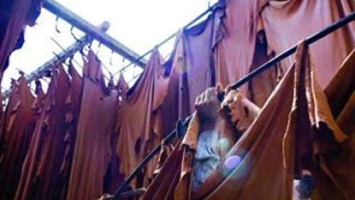 صورة ارشيفية