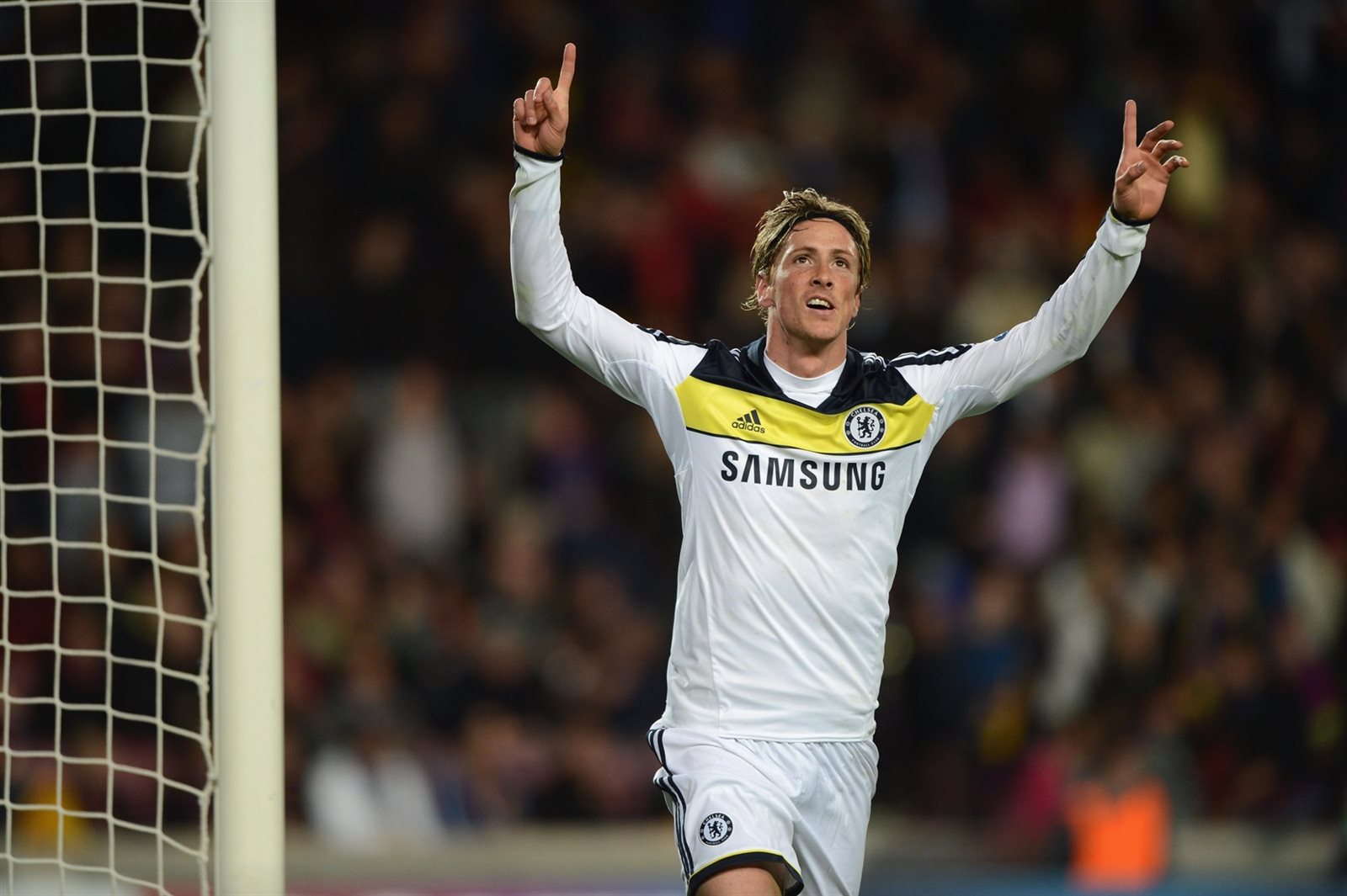 لفيرناندو توريس