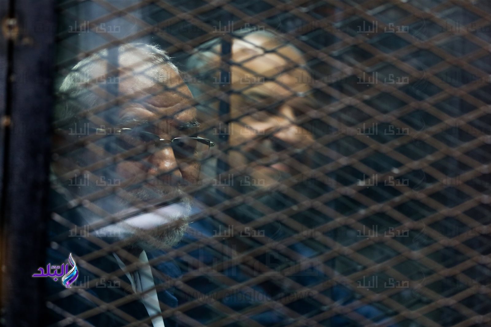 بديع و البلتاجي