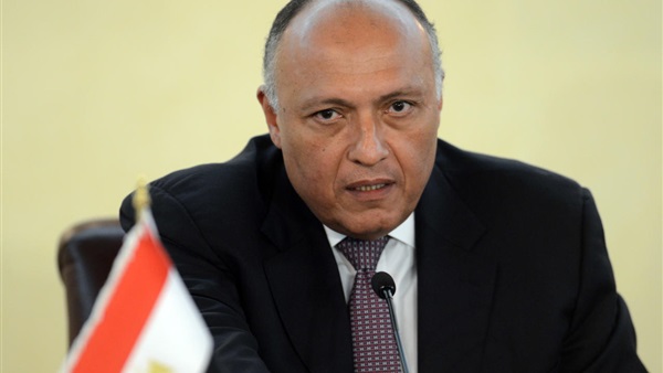 سامح شكرى وزير الخارجية