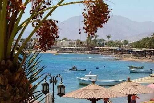 صورة أرشيفية صورة أرشيفية