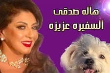 صورة ارشيفية صورة ارشيفية