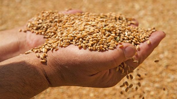 صورة أرشيفية صورة أرشيفية