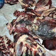 صوره ارشيفيه