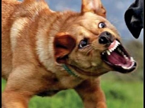 صورة أرشيفية صورة أرشيفية
