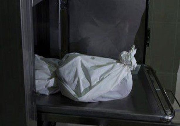 صوره ارشيفيه