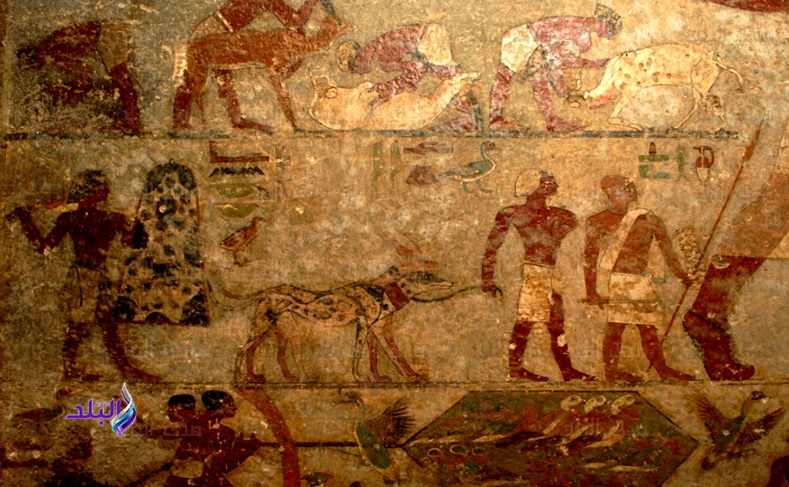 كلب علي جدار مقبرة 