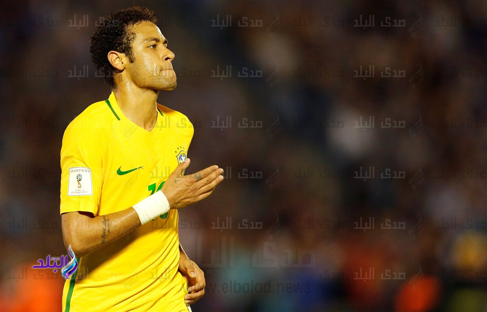 نيمار دا سيلفا نيمار دا سيلفا