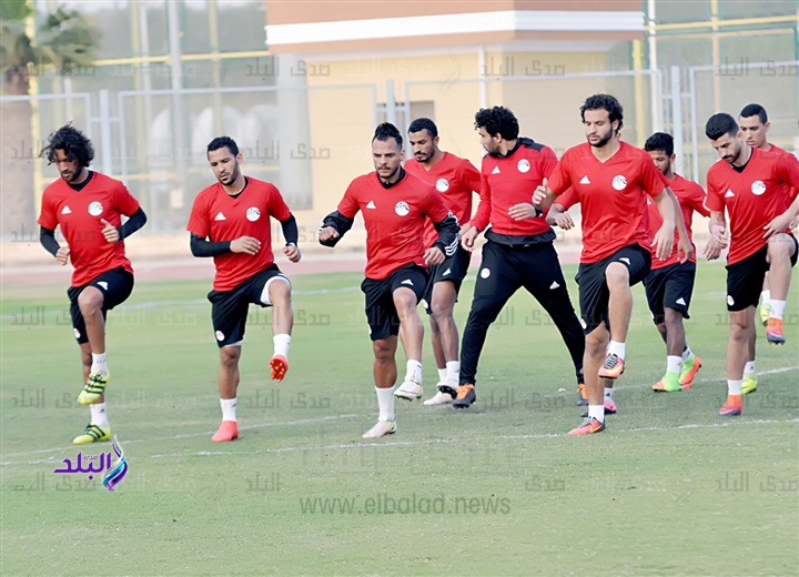 صورة من المران