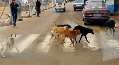 صورة أرشيفية صورة أرشيفية