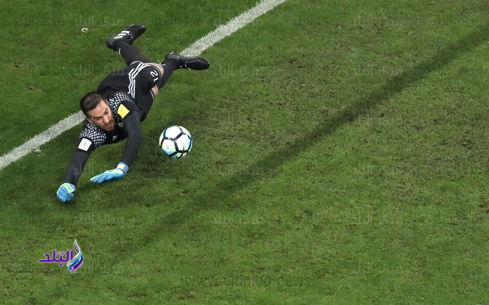 حارس مرمى باراجواي أثناء تصدى ركلة جزاء نيمار