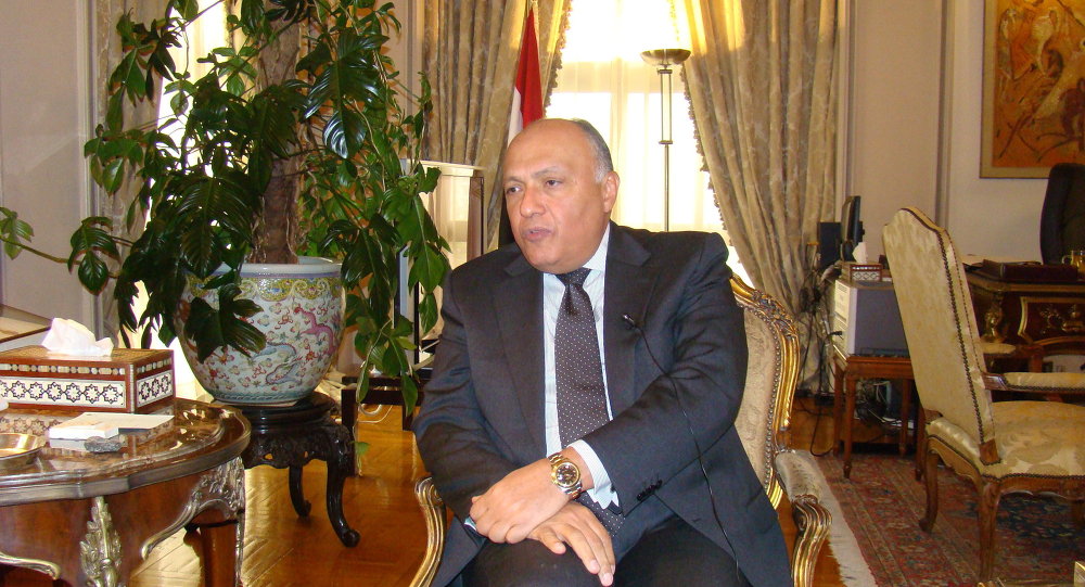 سامح شكري وزير الخارجية المصري