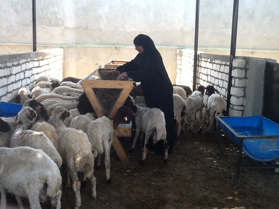 صورة ارشيفية صورة ارشيفية
