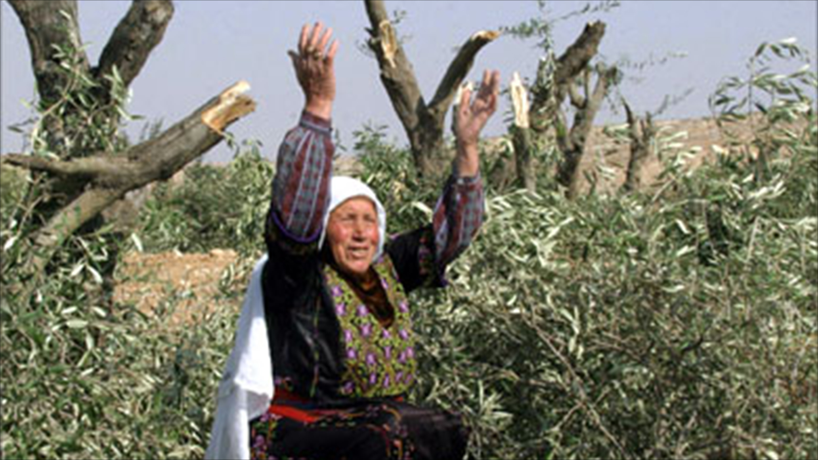 وزارة الخارجية الفلسطينية