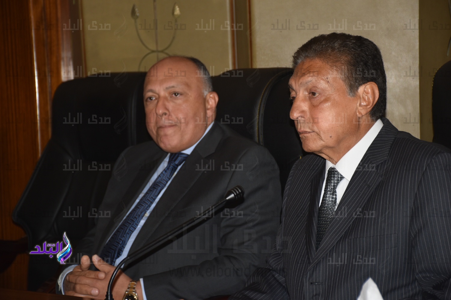 وزير الخارجية سامح شكري وزير الخارجية سامح شكري