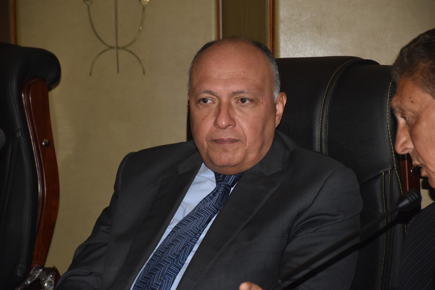 سامح شكرى وزير الخارجية