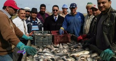 أسماك مهربة ومخالفة صيد بأسوان