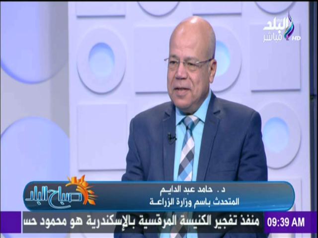 حامد عبد الدايم، المتحدث باسم وزارة الزراعة