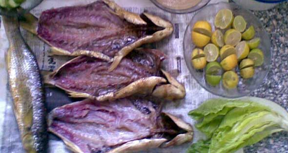 صورة أرشيفية صورة أرشيفية