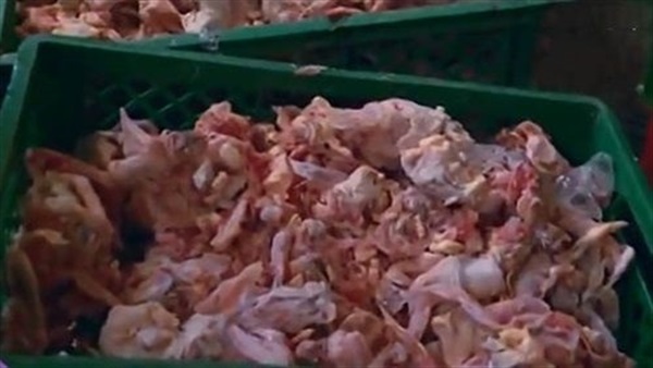 دواجن فاسدة