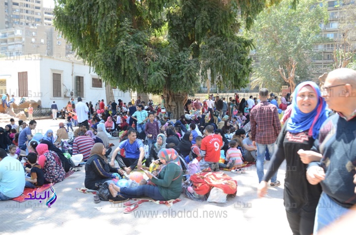 حديقة الحيوان حديقة الحيوان