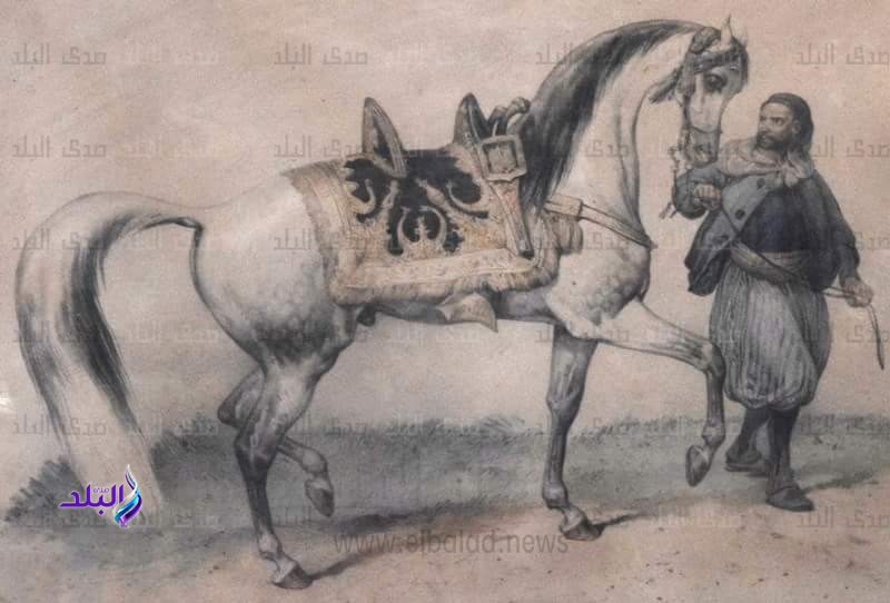 لوحة مرسومة الخيل في حجرة التشريفة بالقصر 