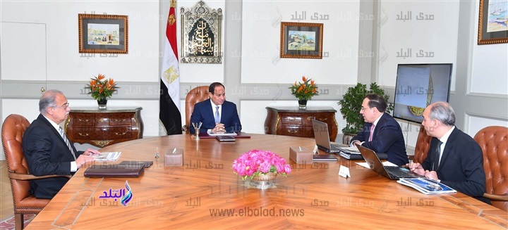الرئيس السيسي ورئيس الوزراء ووزير البترول