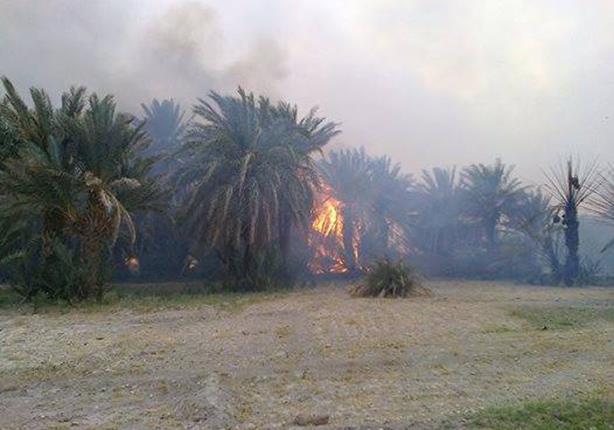 صورة ارشيفية صورة ارشيفية