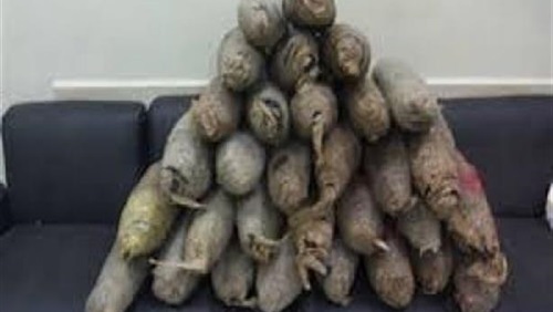 صورة ارشيفية