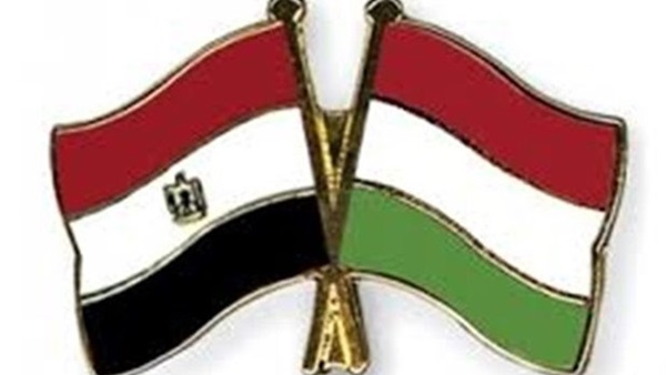 صورة أرشيفية صورة أرشيفية