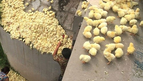 صورة آرشيفية صورة آرشيفية