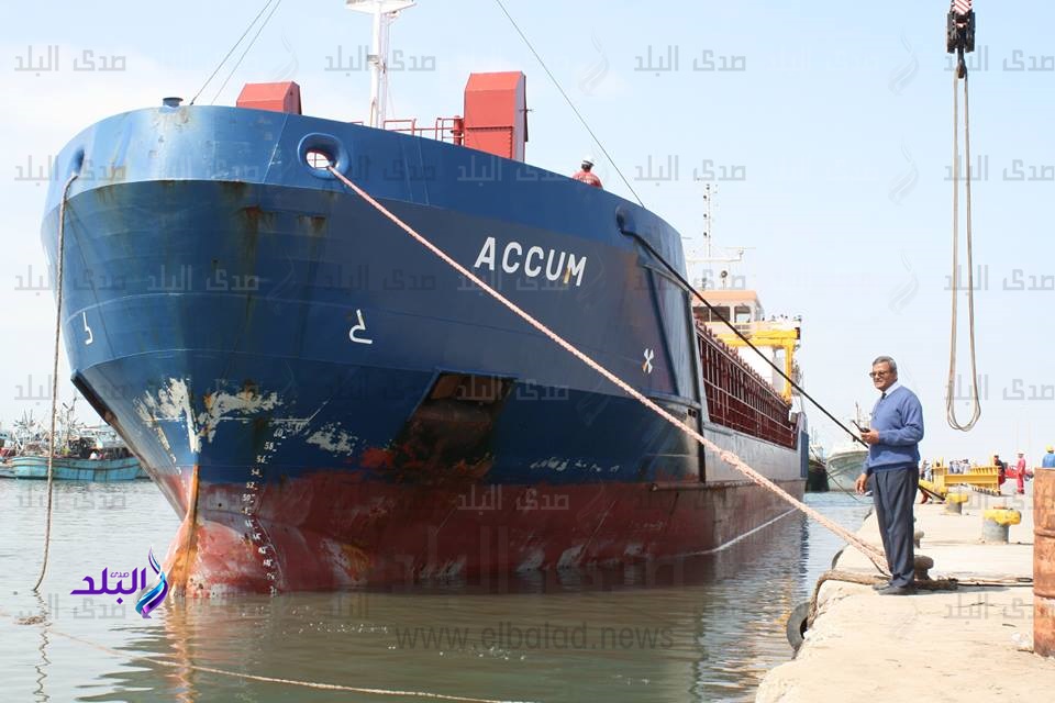 وصول "توربينين" على متن سفينة هولندية لمحطة كهرباء البرلس