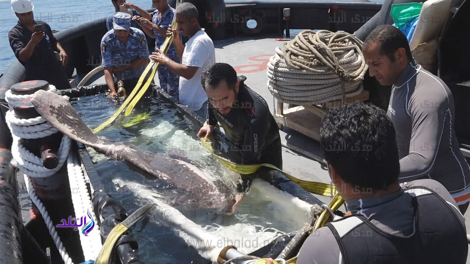 جانب من الحدث 