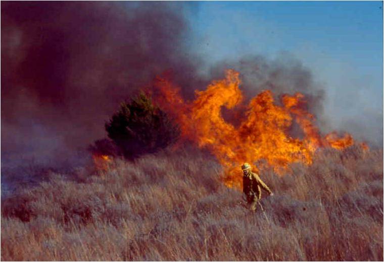 صورة آرشيفية