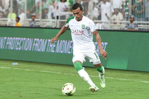 محمد عبد الشافى محمد عبد الشافى