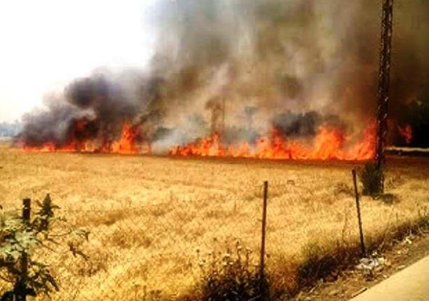 صورة ارشيفية صورة ارشيفية