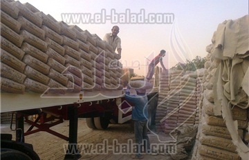 صورة أرشيفية صورة أرشيفية