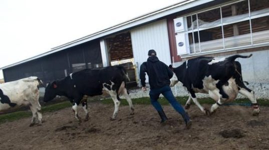 صورة ارشيفية