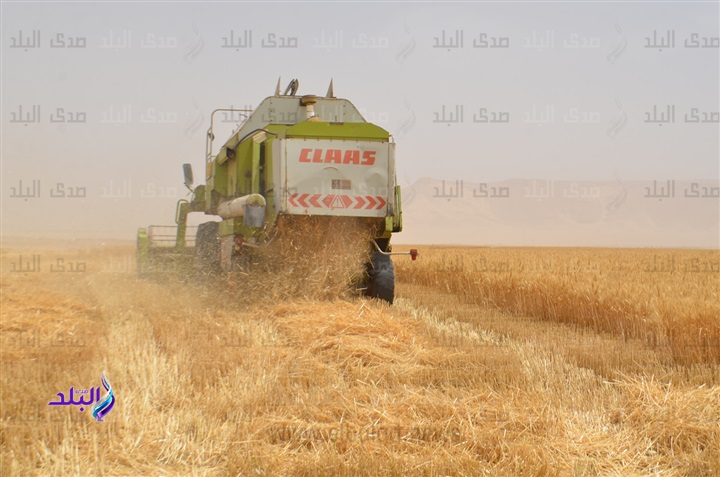 جانب من استصلاح اراضي ضمن مشروع 1.5 مليون فدان بقنا جانب من استصلاح اراضي ضمن مشروع 1.5 مليون فدان بقنا