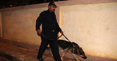 صورة آرشيفية