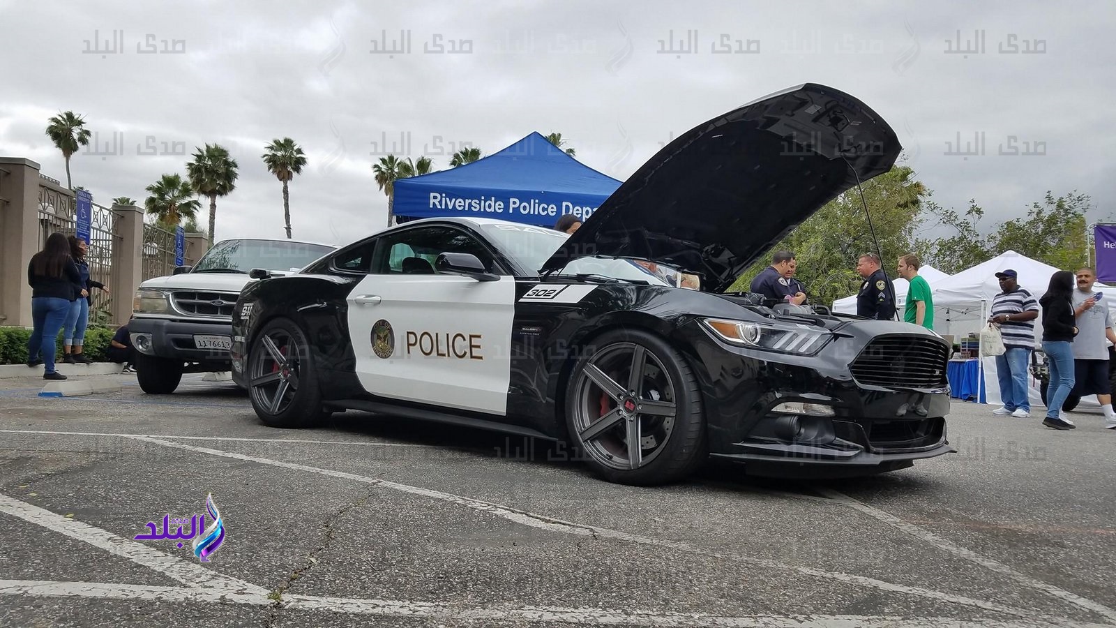 فورد موستانج ستالين فورد موستانج ستالين