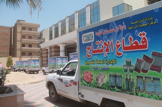 أرشيفية