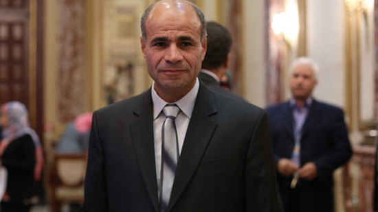 النائب بدير عبد العزيز