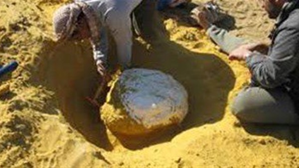 صورة آرشيفية صورة آرشيفية