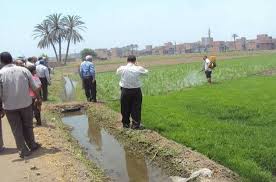 صورة أرشيفية صورة أرشيفية