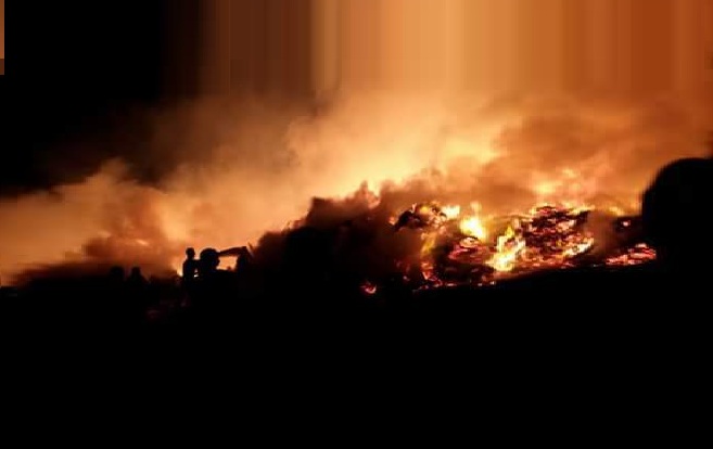 صورة آرشيفية