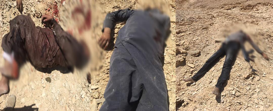 جانب من عملية القوات المسلحة  جانب من عملية القوات المسلحة