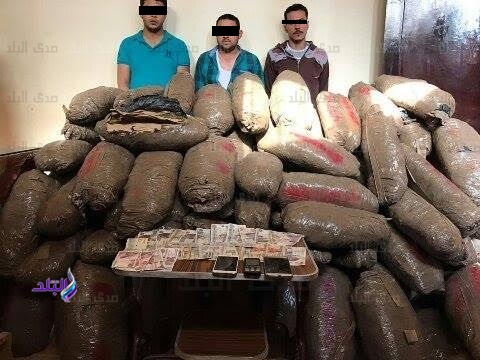 ضبط 250 كيلو بانجو ضبط 250 كيلو بانجو
