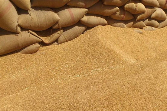 صورة آرشيفية صورة آرشيفية